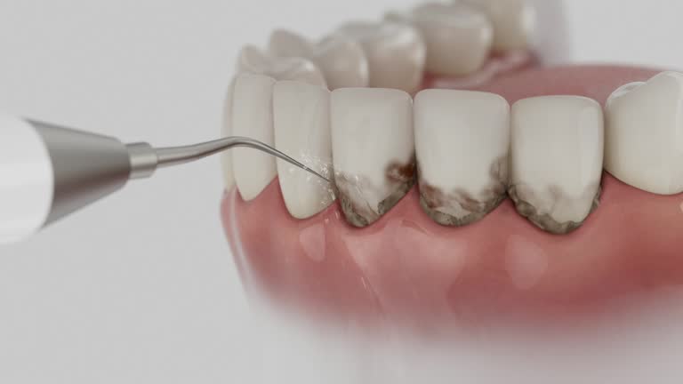 Reliable Dental contractor in King George, VA by Dentist Open Now